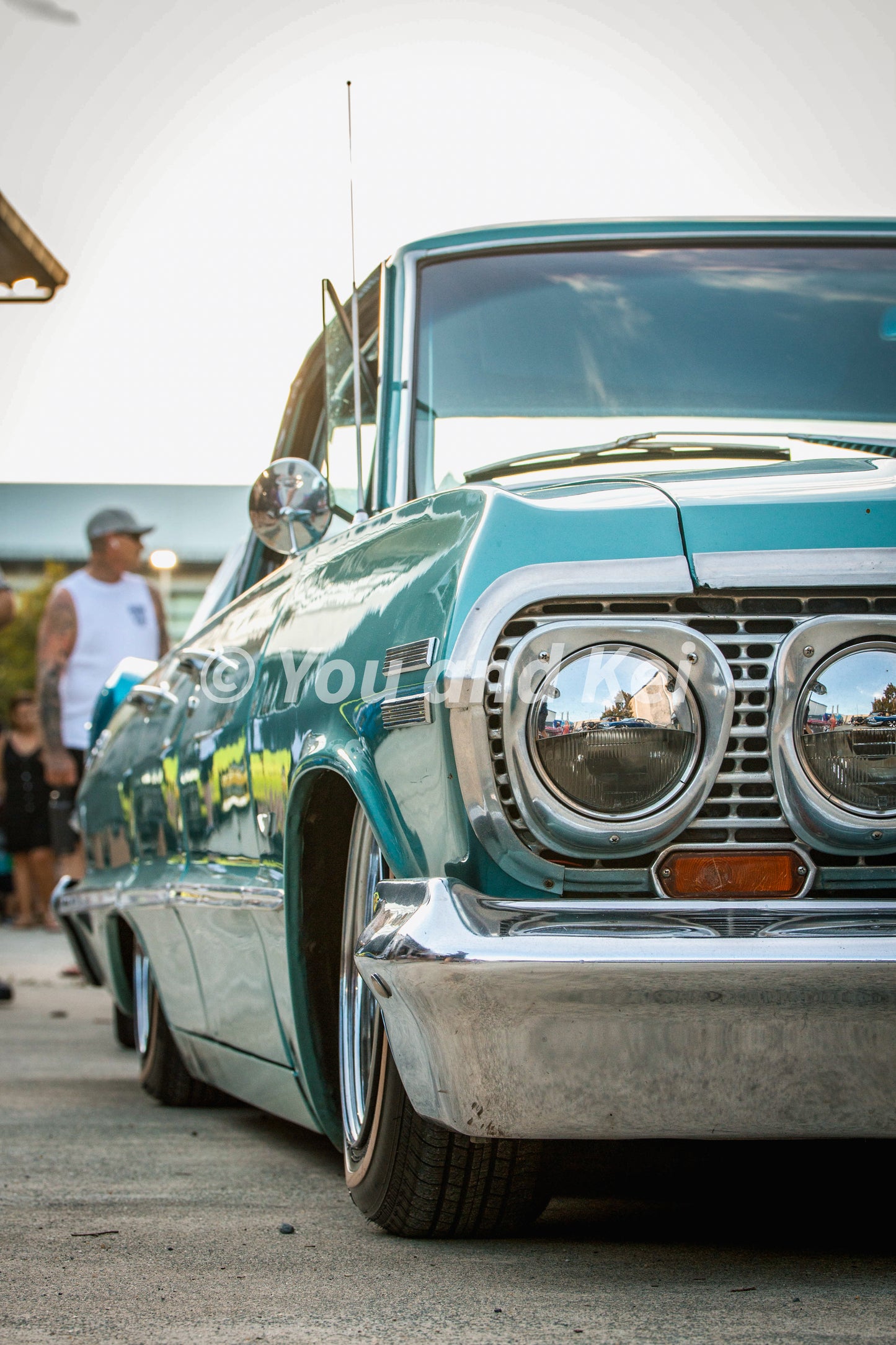 Impala- Dolphin Blue