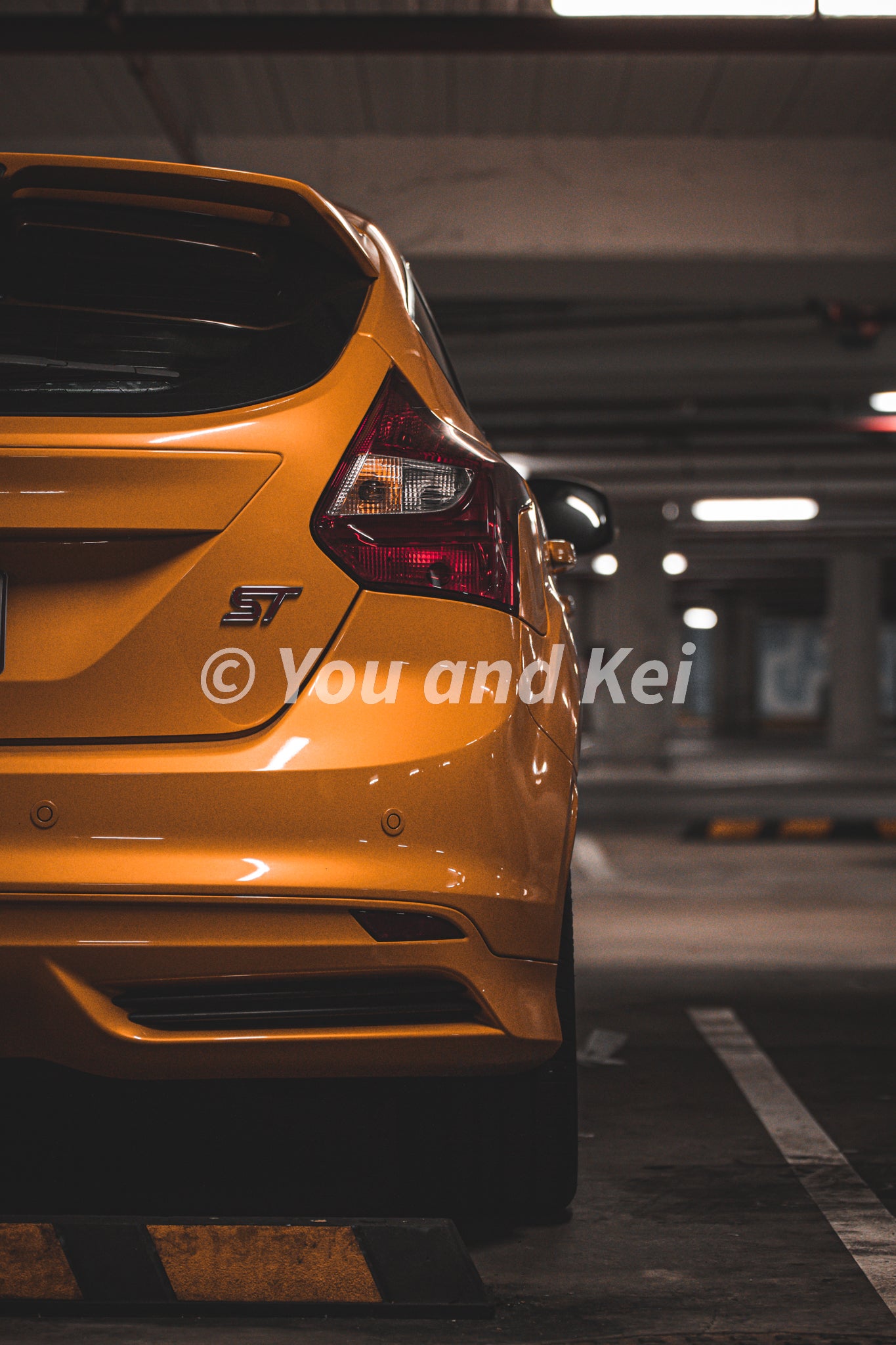 Focus ST - Bundle